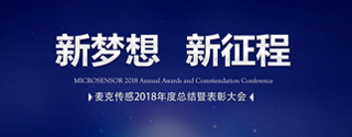 麥克傳感2018年度總結(jié)暨表彰大會(huì)隆重召開